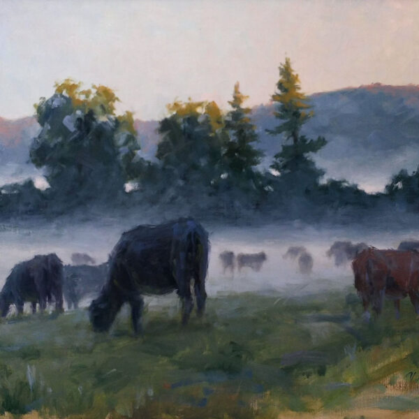 Misty Pastures