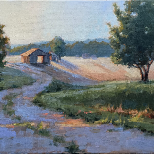 Sunrise in the Country 16x20