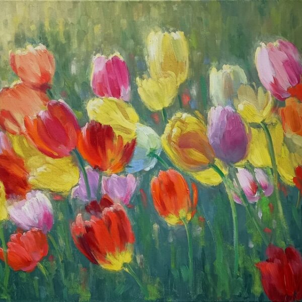 Sunlit Tulips 16x20